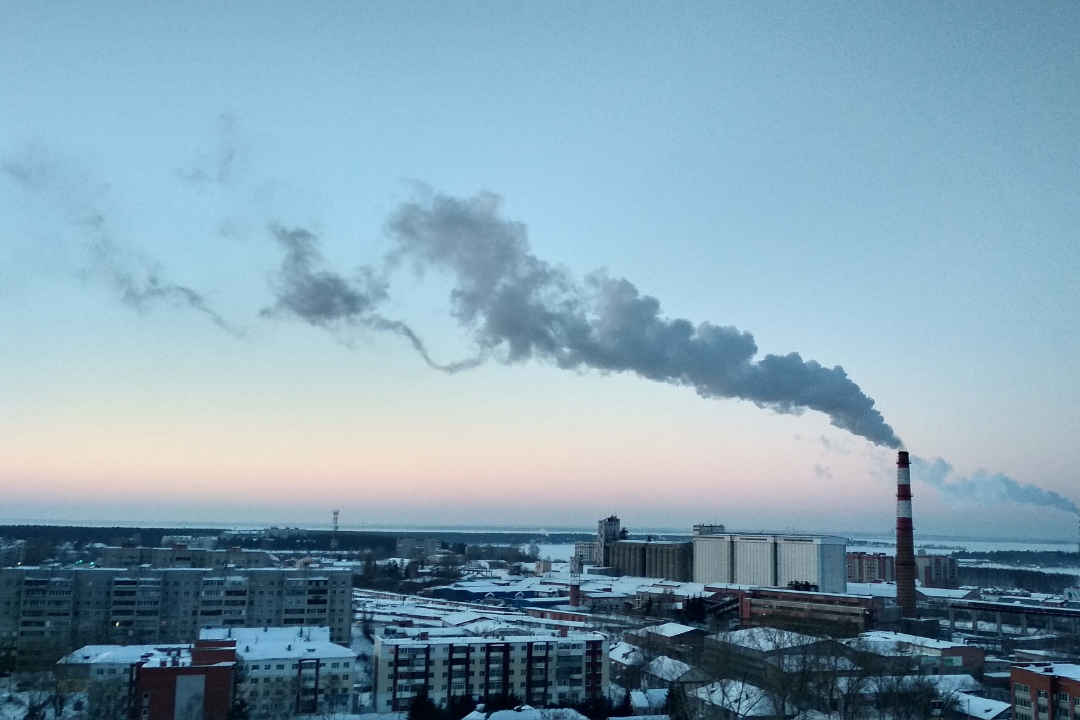 Sustainability in the Workplace