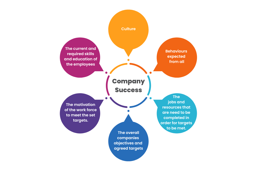 Company Success Factors